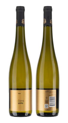 Picture of N-*POŠIP ČARA 0.75L VRH SUHO 2024 -6/1-