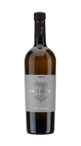 Picture of *SIVI PINOT PHILIPECZ 0.75L SUHO 2025 -6/1-